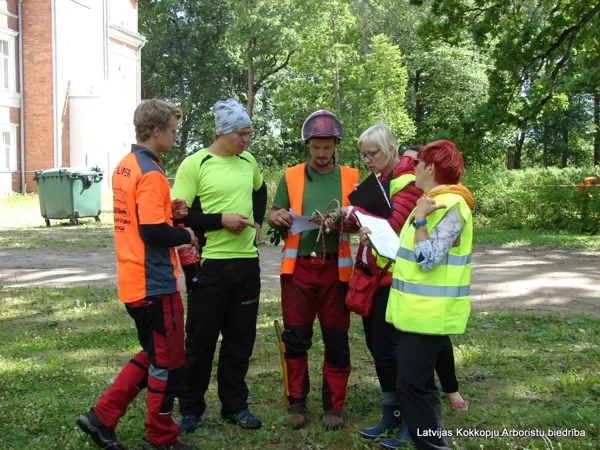 Ērgļos sertificē arboristus (Eiropas koku strādnieku, ETW)